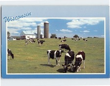 Postcard Americas Dairyland Wisconsin USA