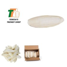 6 inch Bulk Cuttlebone - 25 per Box with Holder, Large