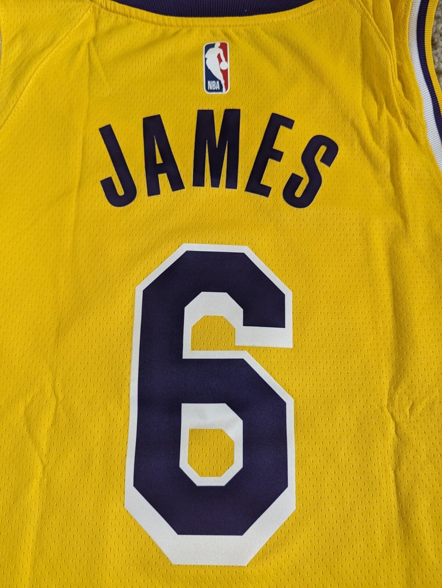Nike NBA Los Angeles Lakers Lebron James #6 Swingman Jersey