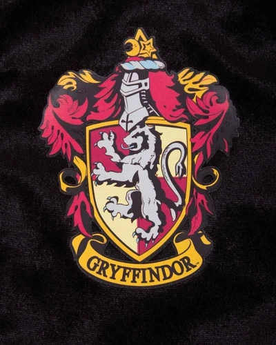 Harry Potter Costume AND Wand Dress Up - Gryffindor Deluxe Robe for Kids - Picture 5 of 5
