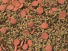 ABF CORY CATFISH MIX Bottom Feeders,Krill,Spirulina,Cory Cats,Pleco,ABF425BW