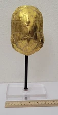 Faux Gold Turtle Shell Specimen