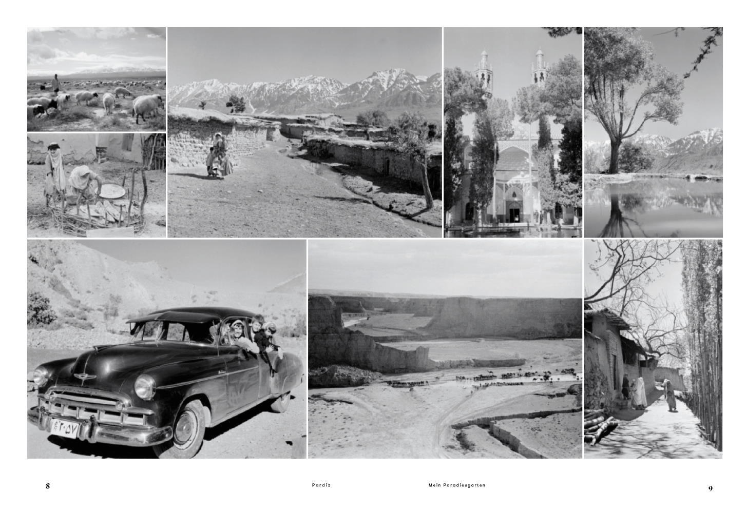 Thumbnail - Manuela Darling-gansser Pardiz