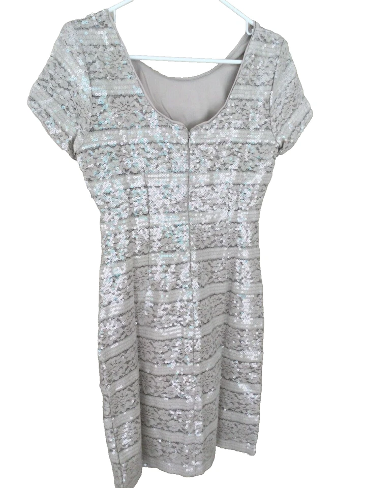 Vestido Donna Ricco Vaina Lentejuelas Beige Encaje Talla 4 Boda Fiesta Evento Elegante NUEVO Foto 3 de 4