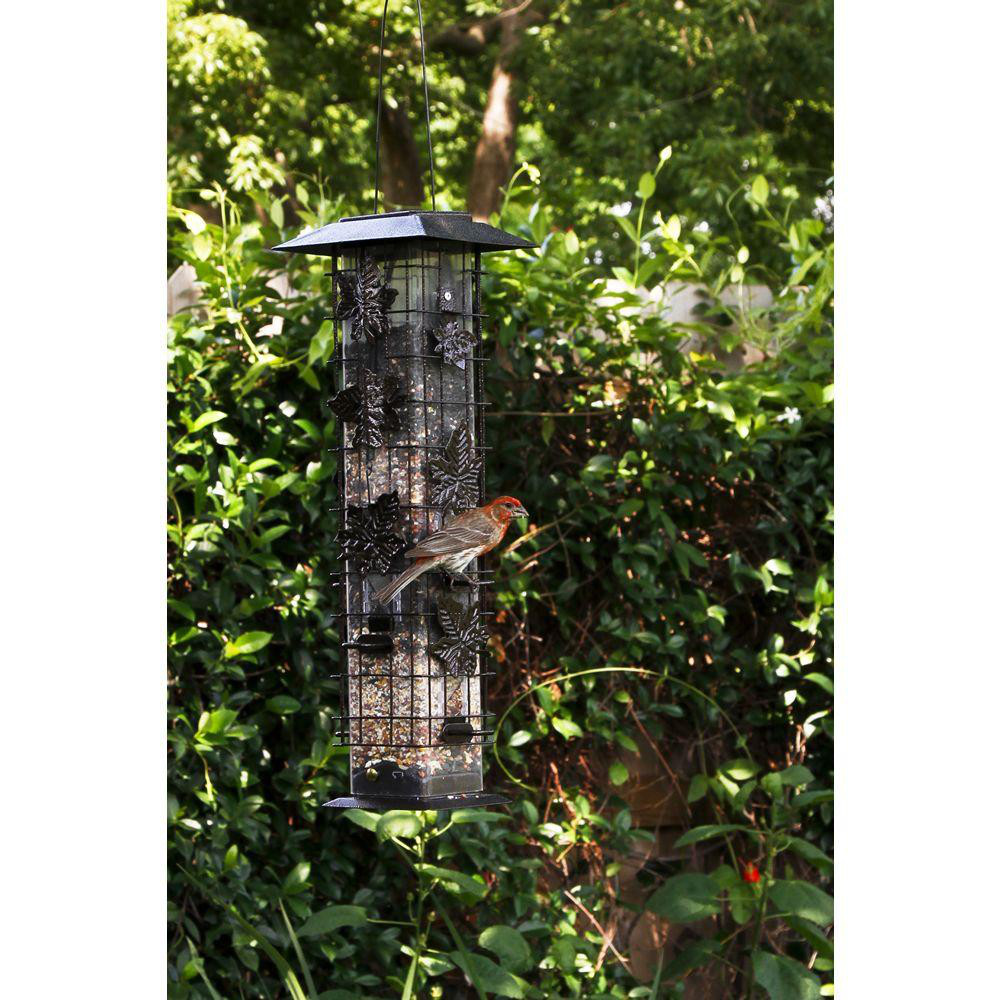 Squirrel-Be-Gone Squirrel Proof Bird Feeder - 2 Lb. Capacity