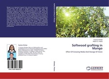 Softwood grafting in Mango Supriya Gholap