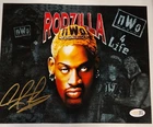 Dennis Rodman Signed METALLIC Photo 8x10  NWO Bulls Worm Autograph HOF JSA HOGAN