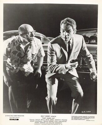 That Darn Cat 1965 Movie Photo 8x10 Dean Jones Press Still  *P102b