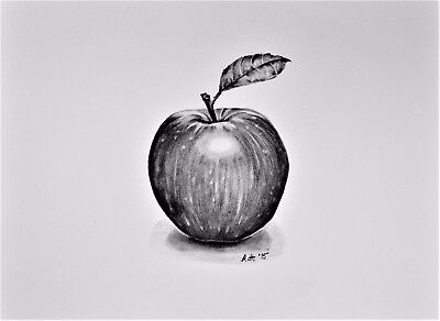 Featured image of post Apple Drawing Realistic Black And White