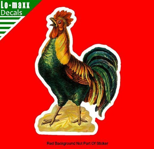 Pegatina de vinilo impresa de alta calidad para aves de corral frescas del mercado gallo - Imagen 13 de 17
