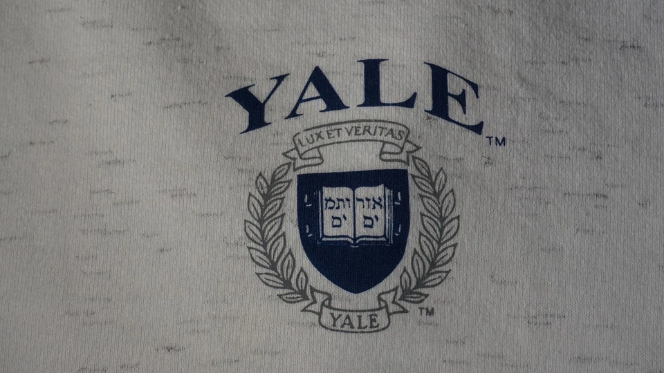 Suéter De Colección Yale Para Hombres Mediano Blanco Azul Cuello Redondo Hecho en ONEITA EE. UU. Universidad Años 90 Foto 3 de 4