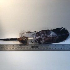 Vintage Hat Feather, Stetson, Resistol, Style, Turkey, And Others