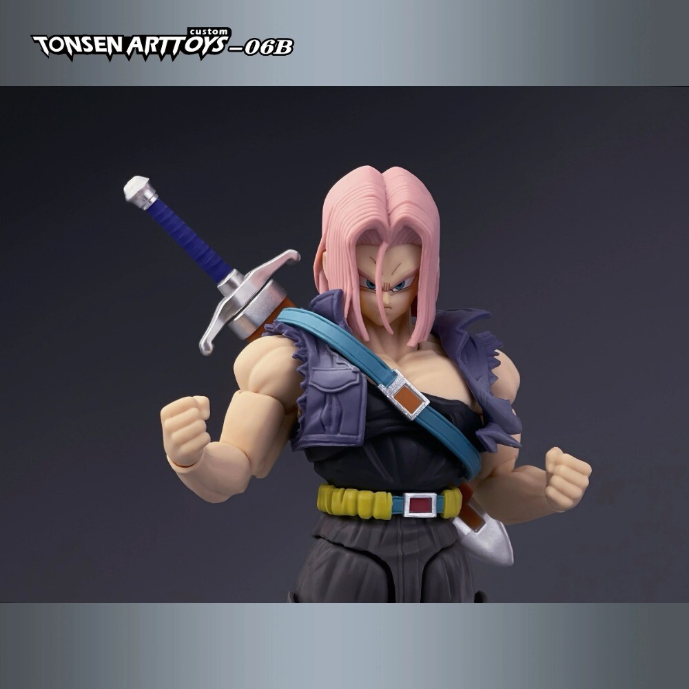 TONSENARTTOYS 06B Dragon Ball Warped Vengeance Unbound Wrath