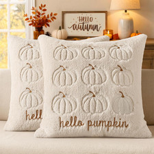Fall Pillow Covers Pumpkin 20X20 Set of 2 Beige Brown Stem Autumn Fall Decor D