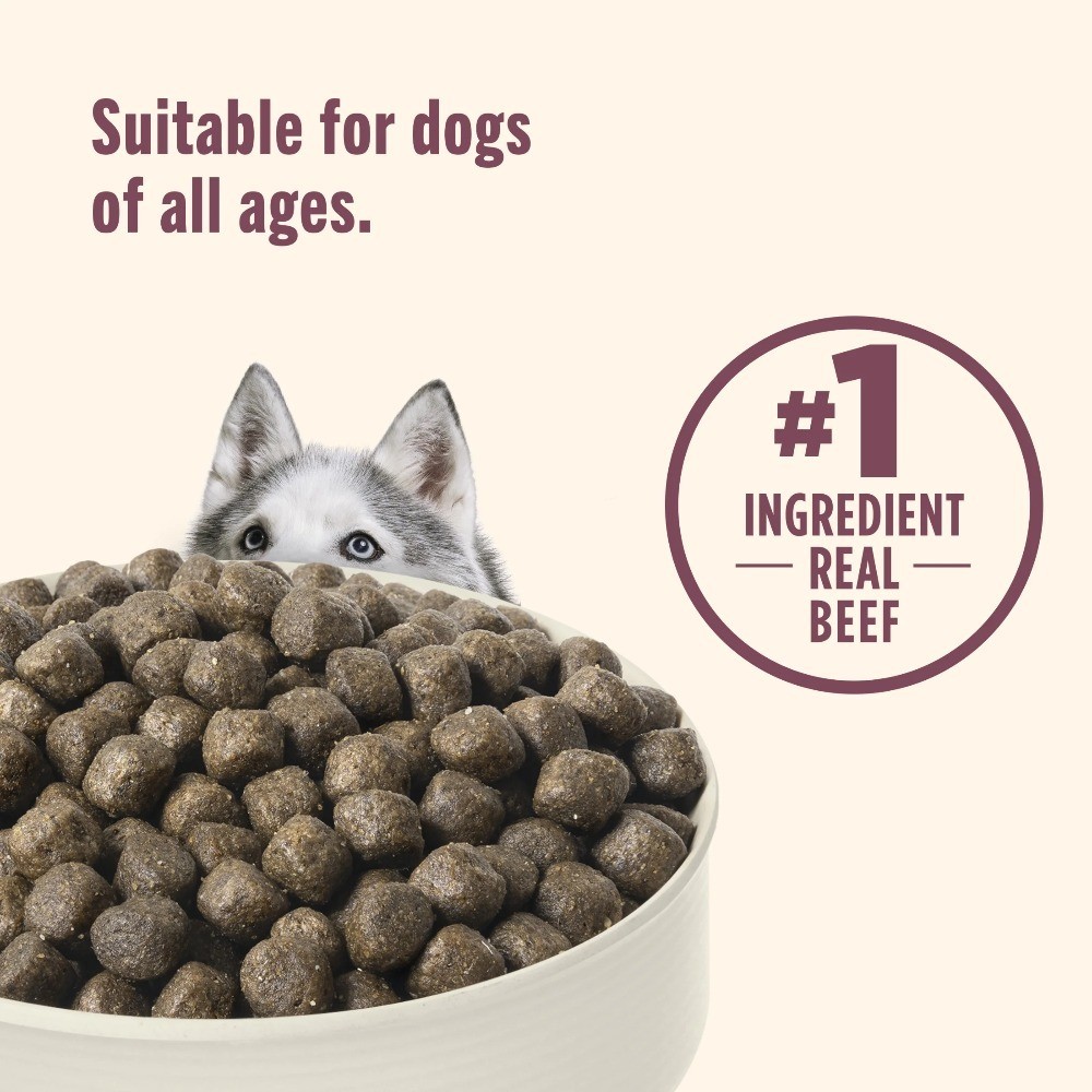 High Protein Dry Dog Food with Beef Potatoes and Peas Recipe for Adult Dogs 12