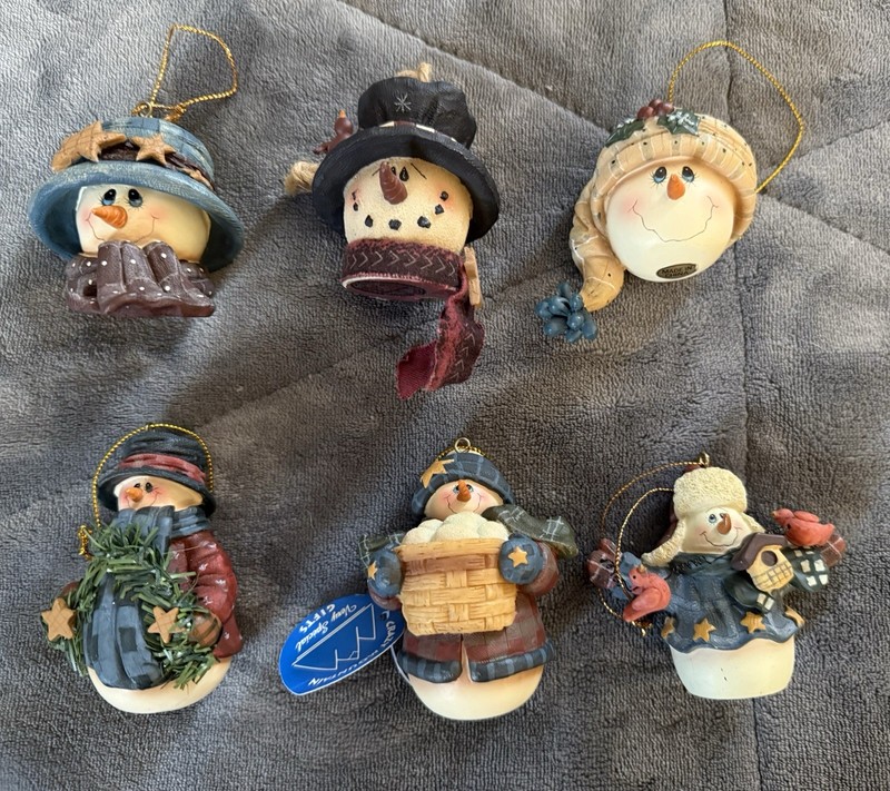 Lot Of 6 Crazy Mountain Ornaments