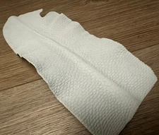 Genuine Beaver Tail Crust Hide Skin Leather exotic fish shark Tanned Tail 100