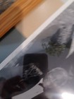 Bill Pinkneys Original Drifters  Framed Picture Signed — photo 9