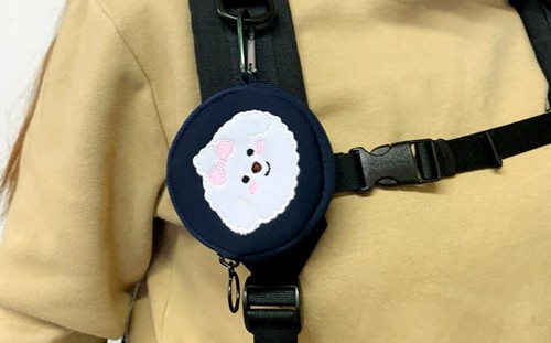 Pechon Fauchon Cute Puppy Keyring Tiny Pouch Airpods Buds Case Mini Coin Purse - Picture 14 of 15