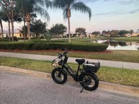 2022 PEDEGO ELEMENT