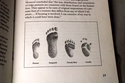 Bigfoot Territory Field Guide to the Sasquatch (Sasquatch Field