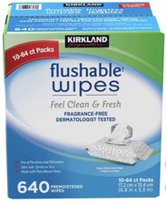 Kirkland Signature Flushable Wipes, 640 Wipes