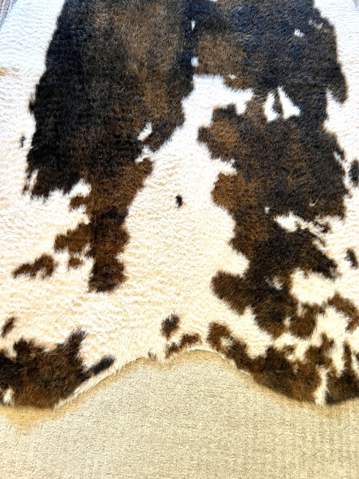 Picture 8 of 13