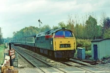 PHOTO  CLASS 52 WESTERN EMPIRE D1059 AT MIDGHAM 26TH OCT 1974