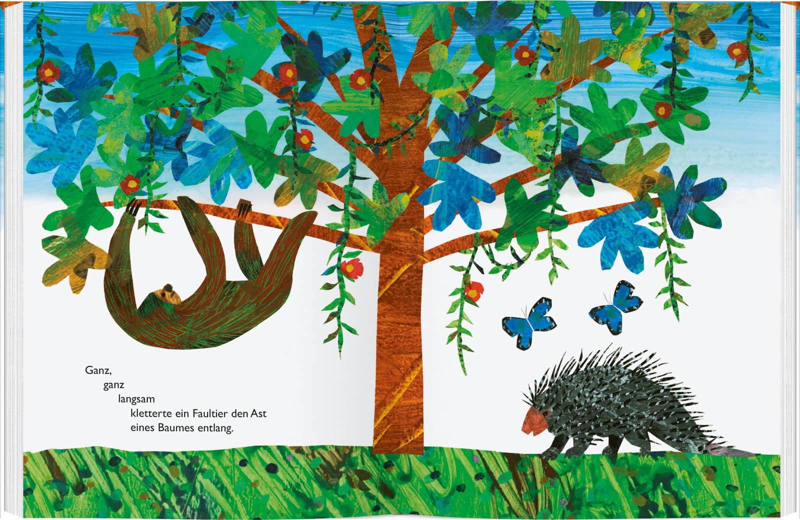 Thumbnail - Ganz, Ganz Langsam, Sagte Das Faultier, Eric Carle