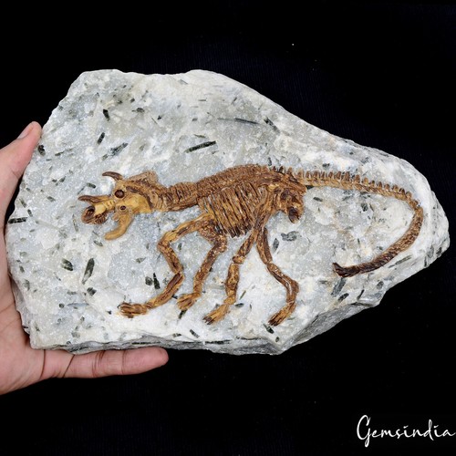 Réplica fósil de dragón de 4,8 kilos en espécimen de roca áspera de cuarzo rutilado natural - Imagen 7 de 8