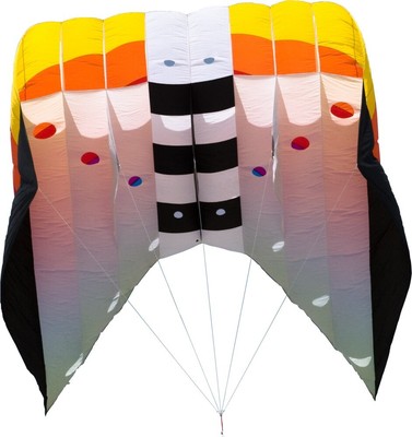 Einleiner Drachen Hebe Träger Flow Form Foilkite Riesen Herbst Fliegen