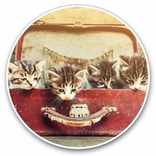 2 x naklejki winylowe 30cm - Śliczne etui Tabby Koty Kocięta Fajny prezent #16877