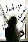 Indigo: A Novel by Clemens J. Setz (Hardback, 2014)