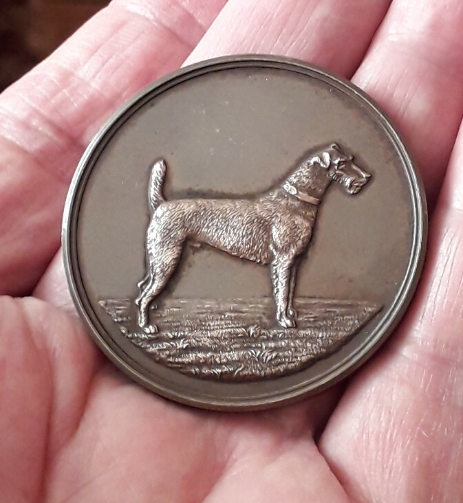 IRISH TERRIER BOXED DOG MEDAL LONDON AND PROVINCIAL IRISH TERRIER CLUB