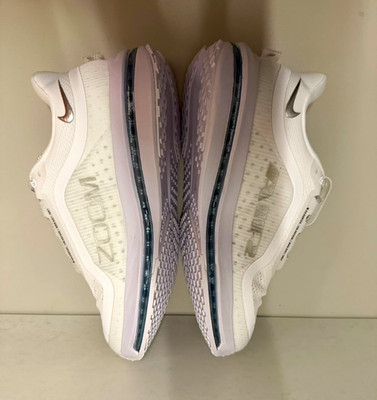 Nike Pegasus Premium /Air Zoom.