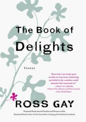 The Book of Delights: Essays - Hardcover By Gay, Ross - VERY GOOD