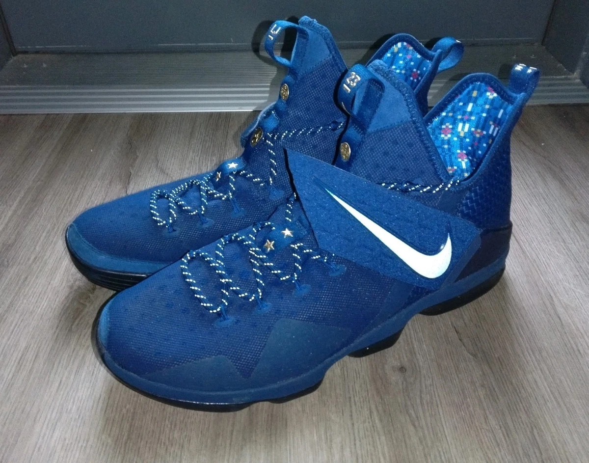 Nike LeBron XIV Men's Sneakers for Sale | Authenticity Guaranteed