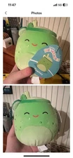 Authentic Kellytoy Squishmallows 