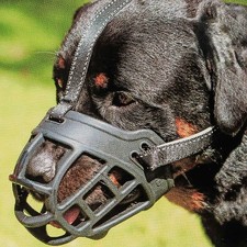 Dog Muzzle Soft Basket Silicone Muzzle Dogs to Prevent Biting  Chewing