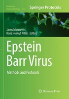 Janos Minarovits (U. A.) | Epstein Barr Virus | Taschenbuch | Englisch (2018)