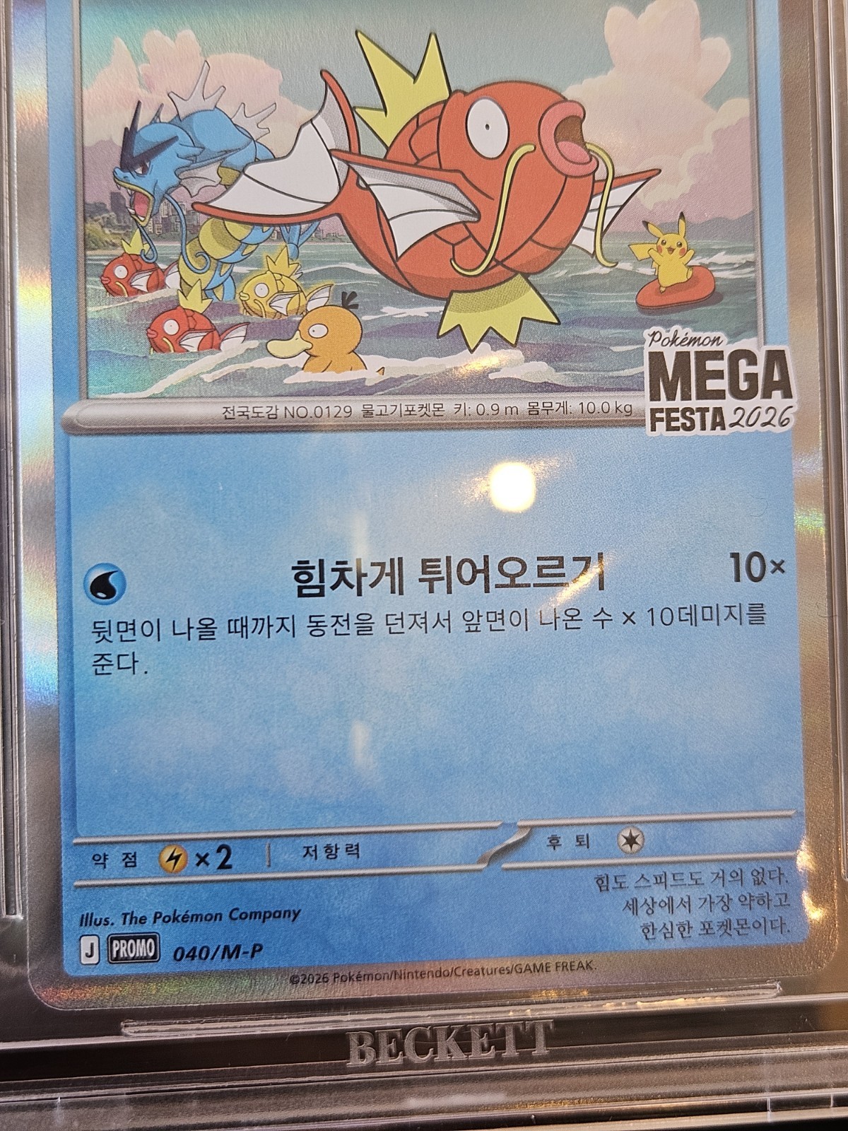 BGS 10 Pristine Magikarp 040/M-P Pokemon MEGA FESTA 2026 Korean Promo view 5