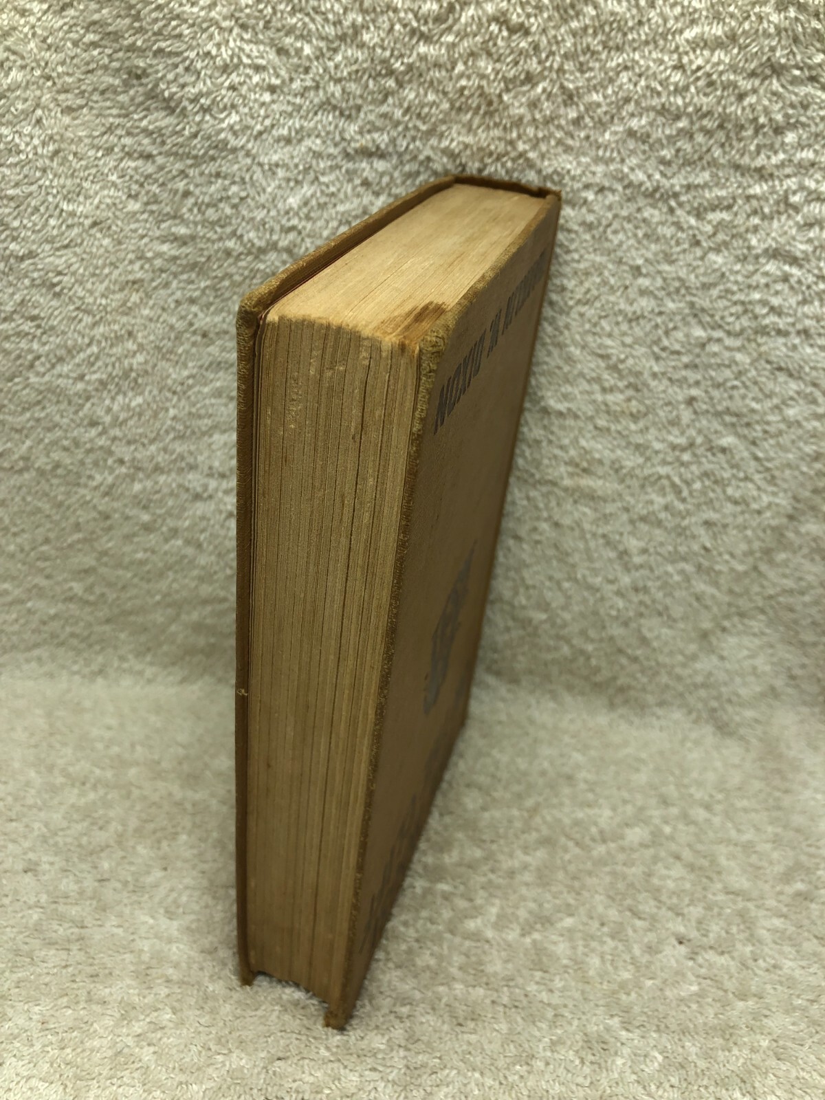 Picture 4 of 14