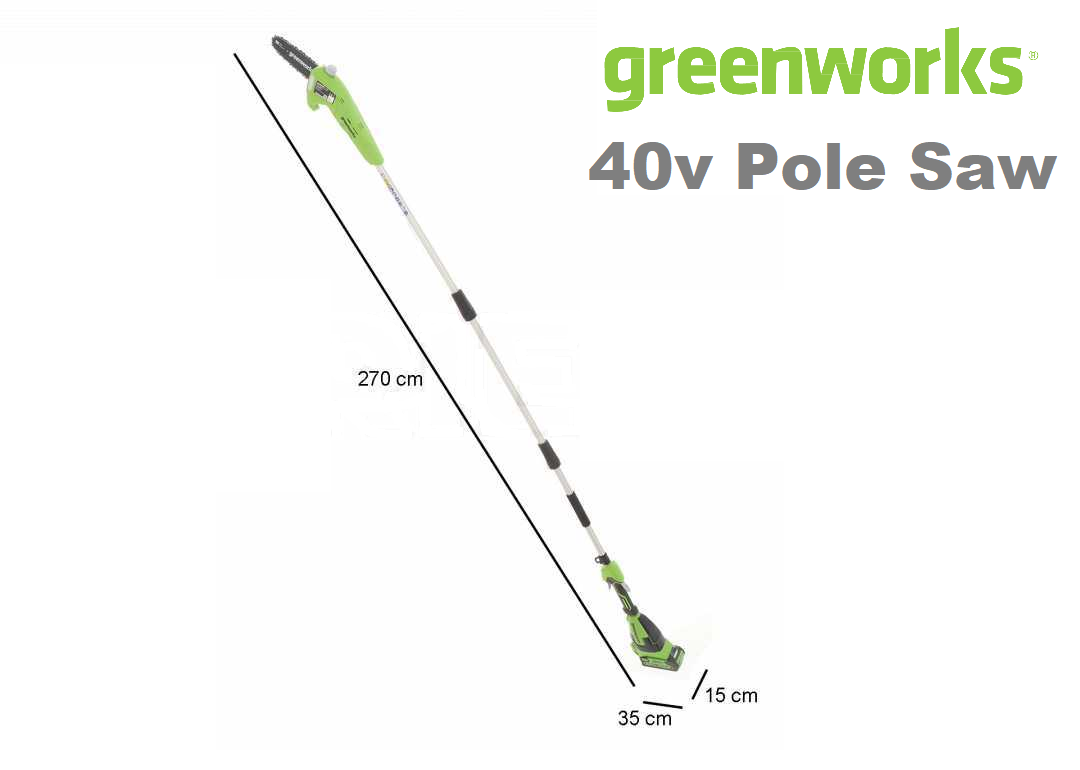 Greenworks 40v Pole Saw G40PSF eBay