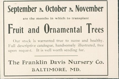 1903 Franklin Davis Nursery Co Fruit Ornamental Trees Catalog Offer Ad FL1