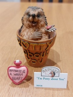 HEDGIES I'm Potty About You by Country Artists in Excellent Condition