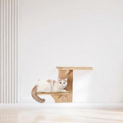 Katzen Wandregal Kletterwand Stufen 2 Plattformen für Kätzchen Indoor Katzen Springen