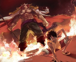 550 One Piece Ace Op Luffy Fighting Japan Anime 17 X14 Poster Ebay
