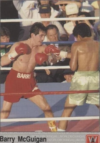 1991 All World Boxing - Barry Mcguigan #111