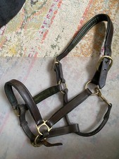 Full size  Leather Track Halter turnout  FREE SHIPPING