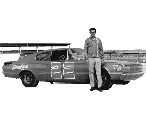 Bobby Allison NASCAR Posters